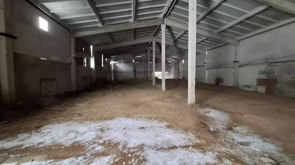 Склад в Ленинградская область, Волосовский район, Большеврудское ... - Фото 1