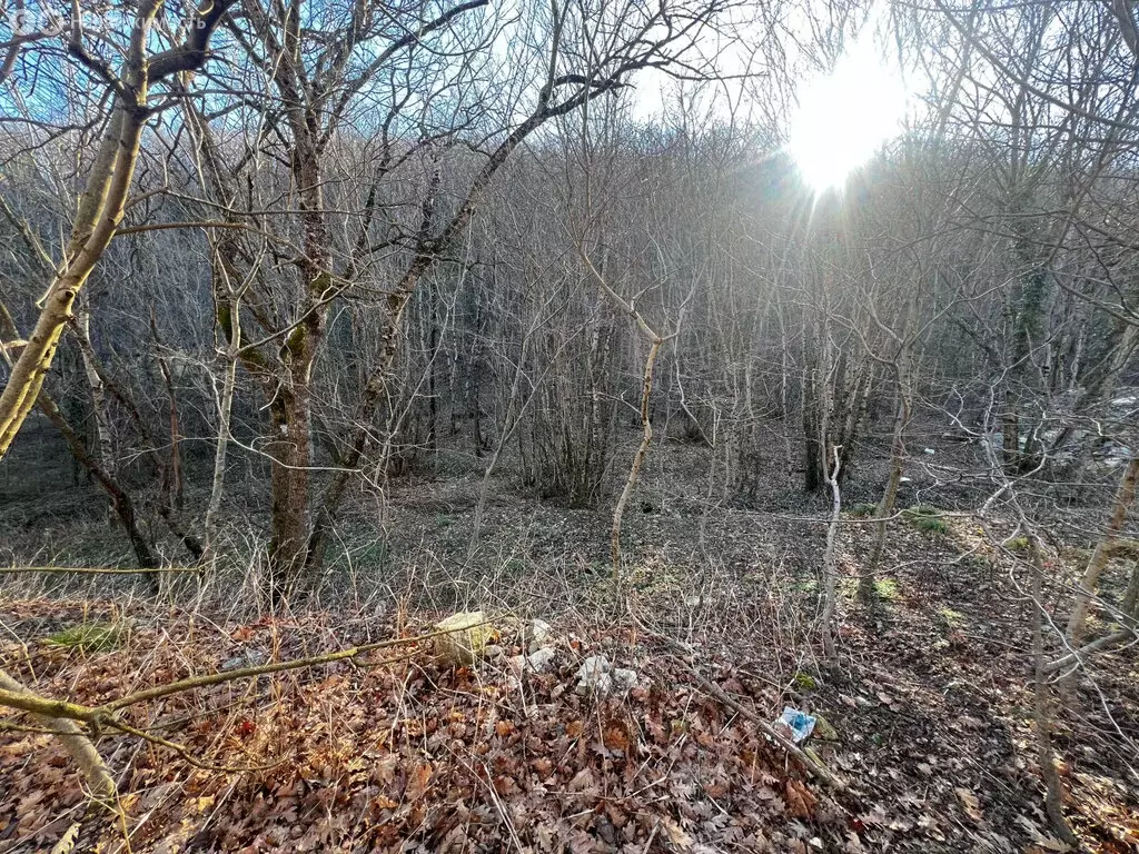 Участок в Новороссийск, квартал 8-я Щель (6 м) - Фото 0