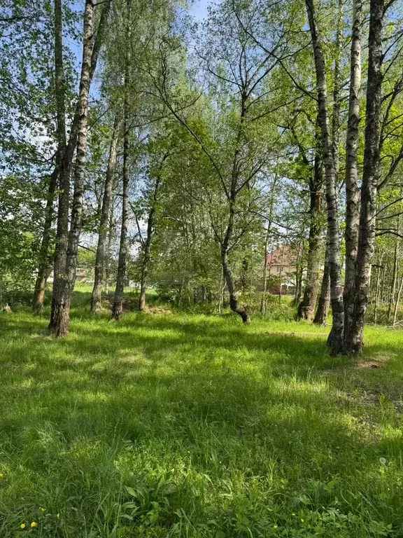 Участок 6,8 сот. (СНТ, ДНП) - Фото 0
