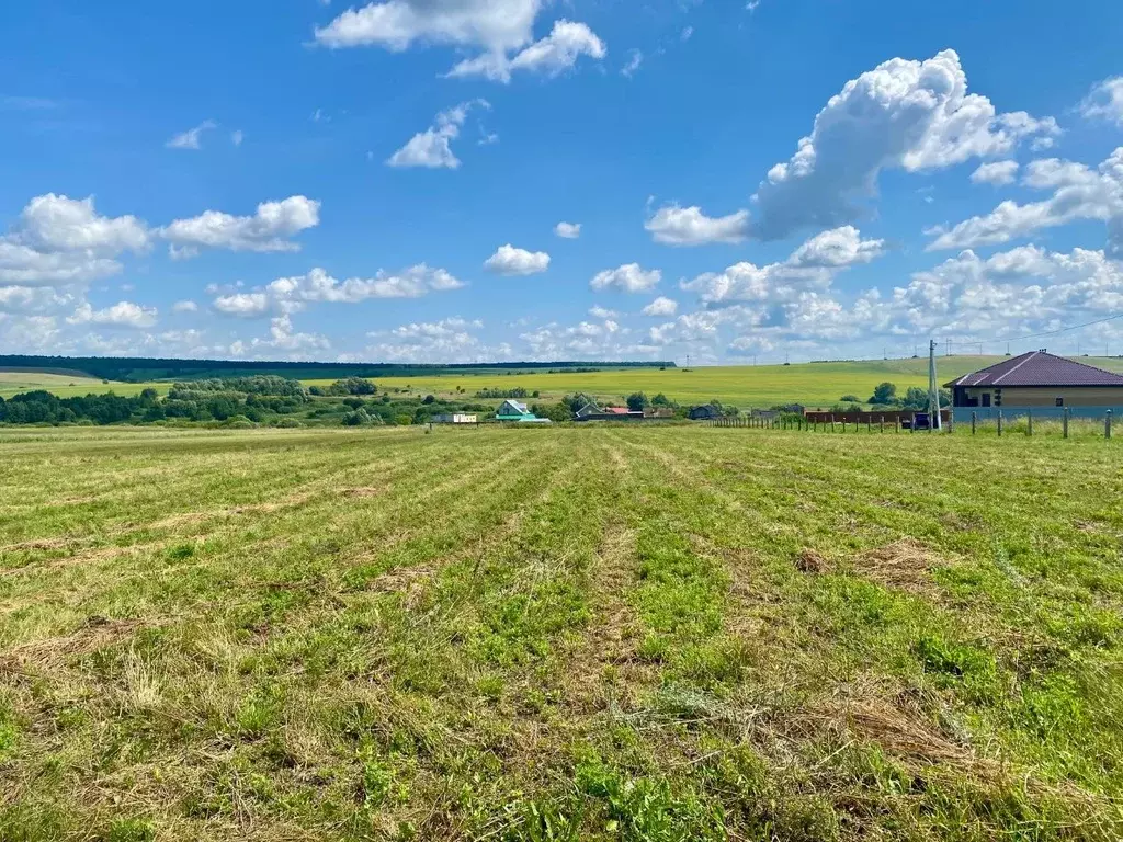 Участок в Татарстан, Заинский район, с. Верхние Пинячи  (10.0 сот.) - Фото 1