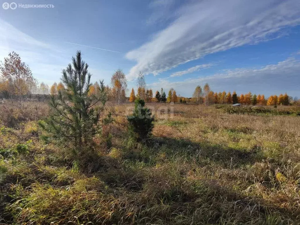 Участок в Томский район, ДНТ Солнечная Поляна (94 м) - Фото 0