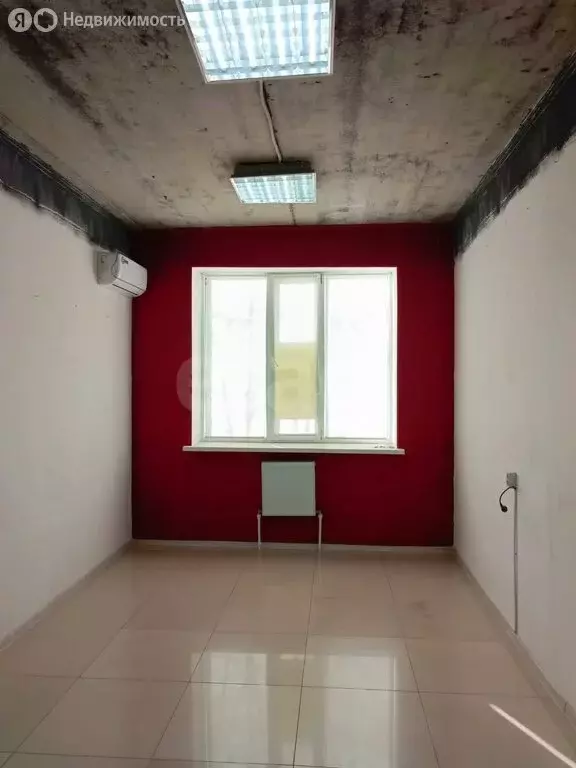 Помещение свободного назначения (19.2 м) - Фото 1