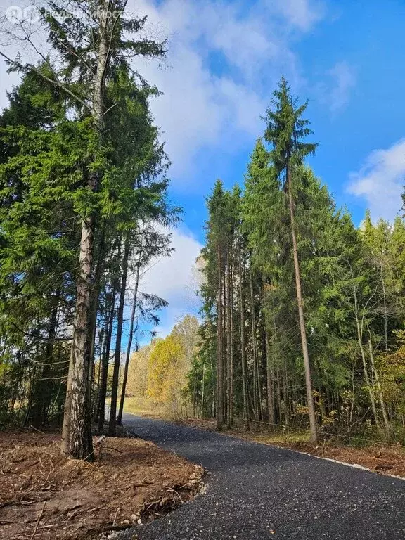 Участок в Московская область, городской округ Пушкинский, деревня ... - Фото 2