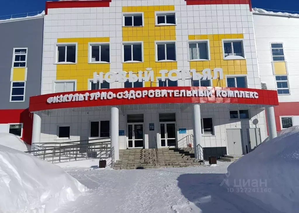 Помещение свободного назначения в Марий Эл, Новый Торъял пгт ул. ... - Фото 1