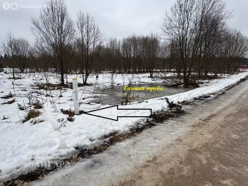 Участок в Московская область, городской округ Клин, деревня Кузнецово ... - Фото 1