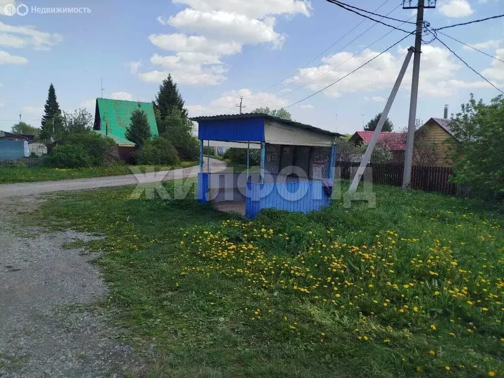 Участок в Плотниковский сельсовет, садовое некоммерческое товарищество ... - Фото 0