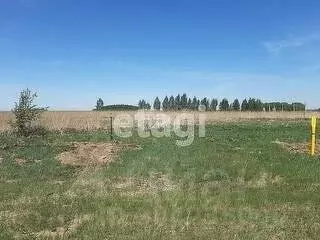 Участок в Тюменская область, Тюменский район, д. Большие Акияры ул. ... - Фото 0