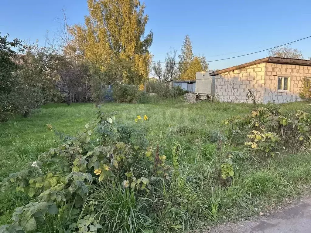 Участок в Калининградская область, Калининград Чайка СНТ, ул. ... - Фото 2