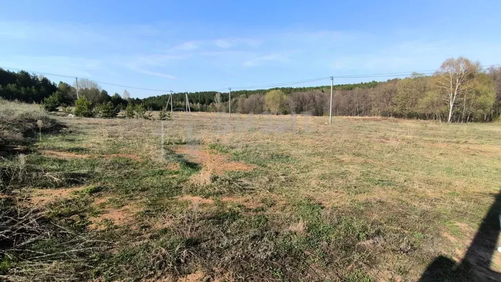 Участок в Татарстан, Елабужский район, Костенеевское с/пос, с. ... - Фото 1
