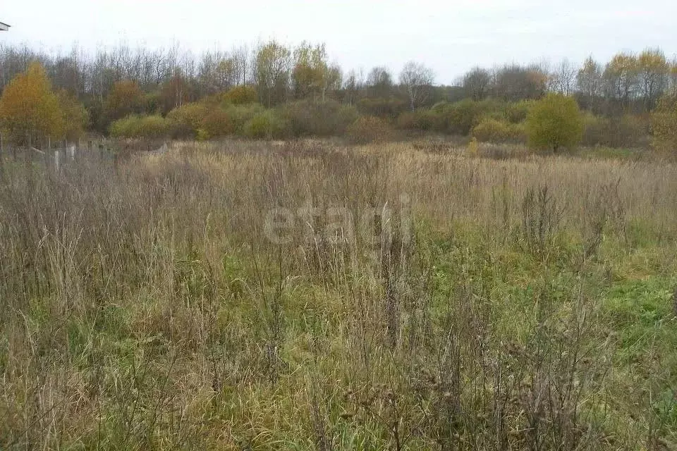 Участок в Курская область, Курский район, Моковский сельсовет, д. 2-я ... - Фото 1