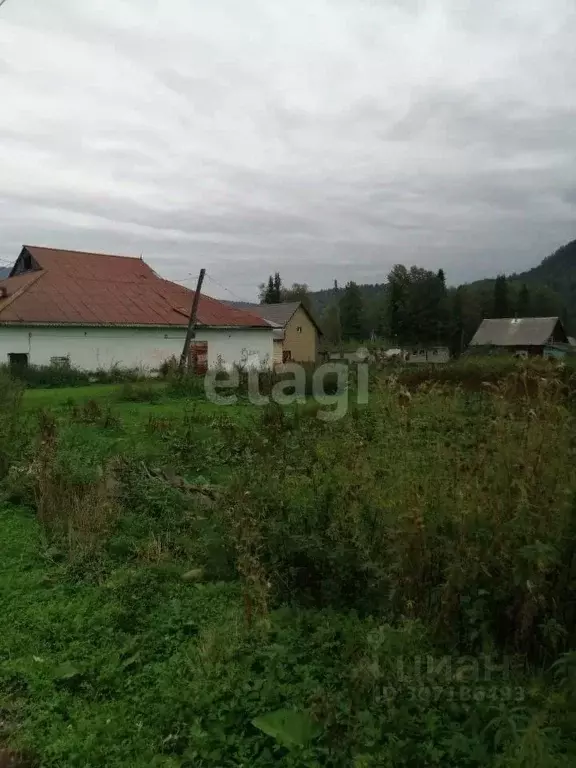 Участок в Алтай, Турочакский район, с. Иогач Школьная ул. (16.4 сот.) - Фото 0