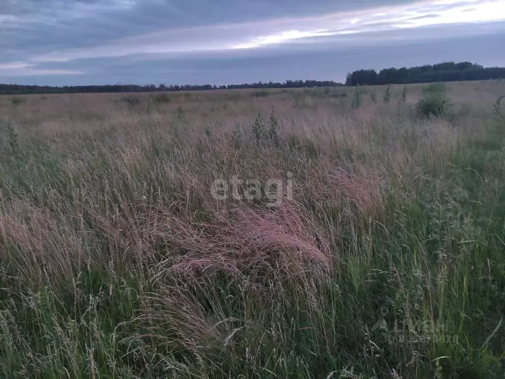 Участок в Челябинская область, Красноармейский район, Козыревское ... - Фото 1