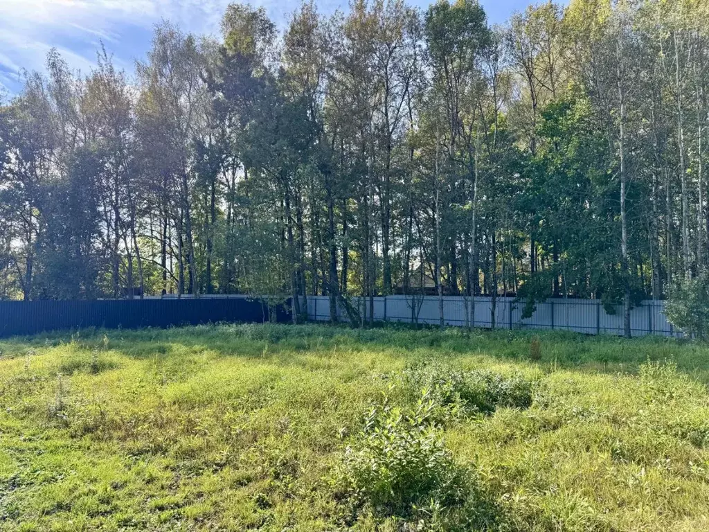 Участок в Московская область, Мытищи городской округ, д. Шолохово ул. ... - Фото 2