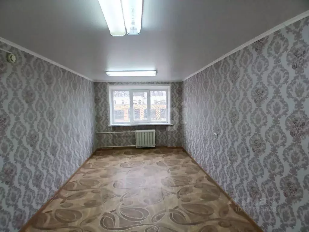 Комната Брянская область, Брянск ул. 3-го Интернационала, 1 (18.8 м) - Фото 1