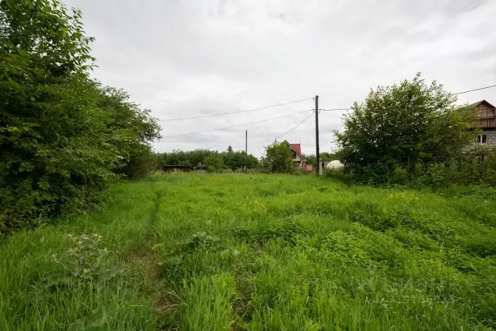 Участок в Иркутская область, Иркутск Черемуховая ул., 13 (10.0 сот.) - Фото 0