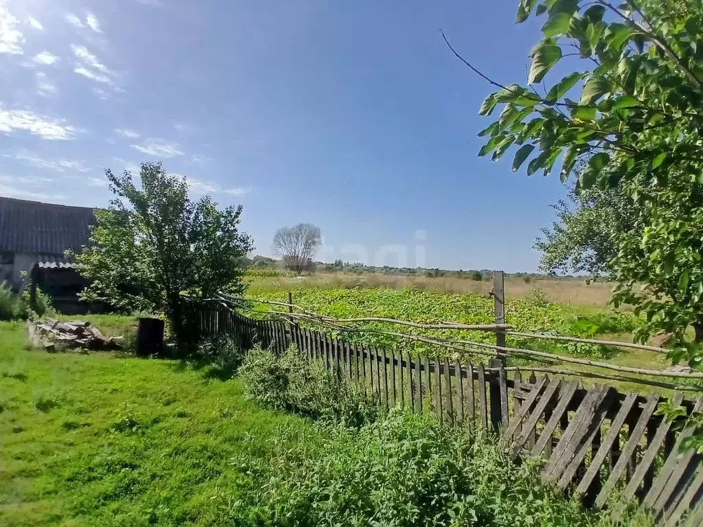 Дом в Белгородская область, Валуйский муниципальный округ, с. ... - Фото 1