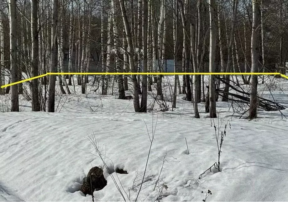 Участок в Московская область, Богородский городской округ, имени ... - Фото 1