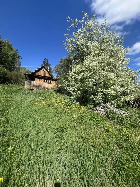Дача 30 м на участке 5,5 сот. - Фото 0