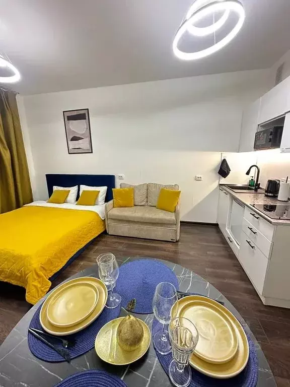 Студия Санкт-Петербург Фарфоровская ул., 7к2 (26.0 м) - Фото 2