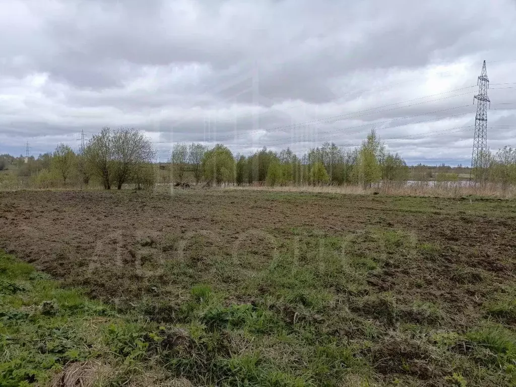 Участок в Московская область, Сергиево-Посадский городской округ, с. ... - Фото 1