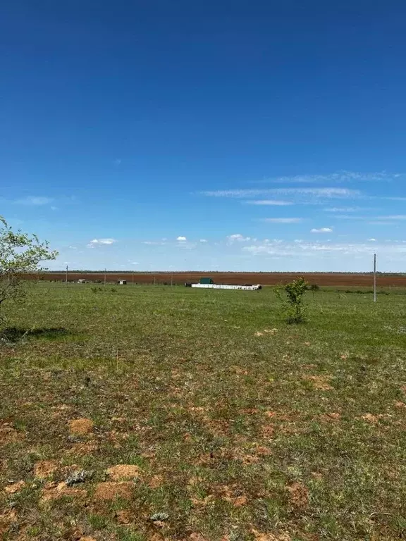 Участок в Волгоградская область, Городищенский район, Царицынское ... - Фото 2
