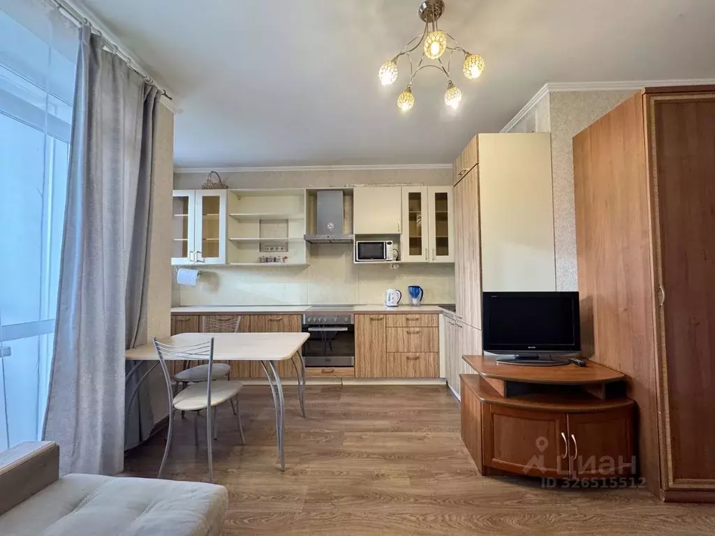 Студия Санкт-Петербург ул. Ушинского, 33к3 (30.0 м) - Фото 2