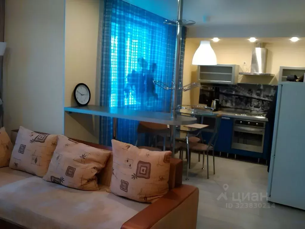 1-к кв. Нижегородская область, Дзержинск Прибрежная тер., наб. Окская, ... - Фото 1