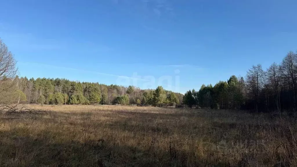 Участок в Мордовия, Ичалковский район, пос. Смольный  (1200.0 сот.) - Фото 2
