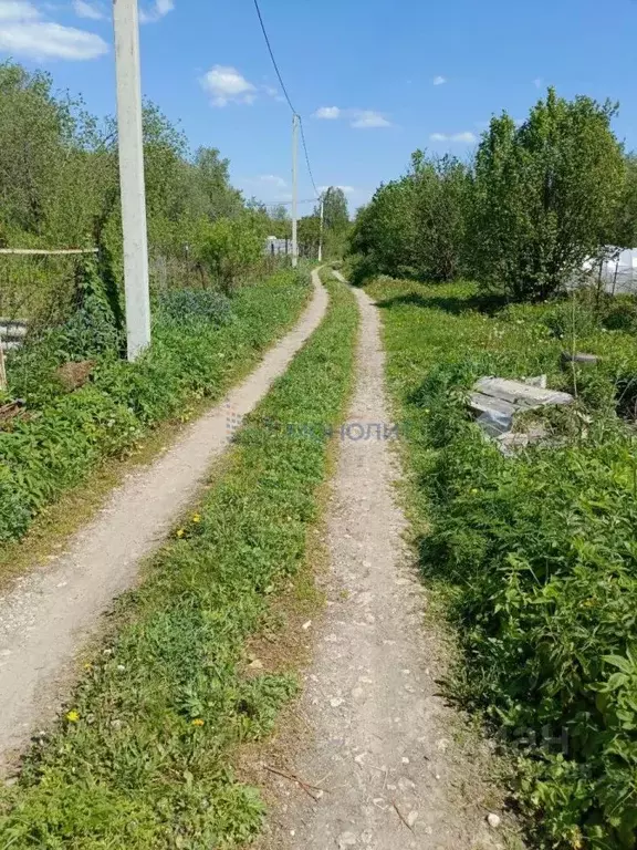 Участок в Нижегородская область, Нижний Новгород Дружба СНТ, 726 (7.5 ... - Фото 1