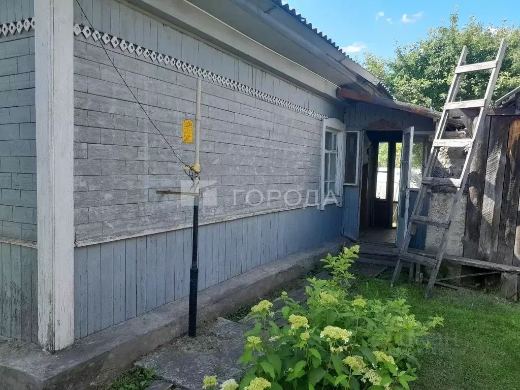 Дом в Алтайский край, Первомайский район, с. Боровиха ул. 2-я Боровая ... - Фото 1