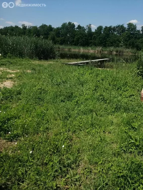 Участок в село Первореченское, Речная улица, 17 (5 м) - Фото 2