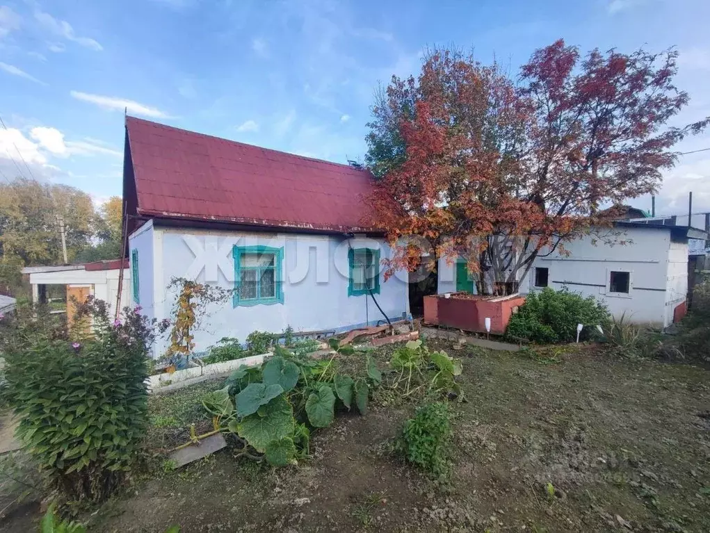 Дом в Новосибирская область, Новосибирский район, Барышевский ... - Фото 1