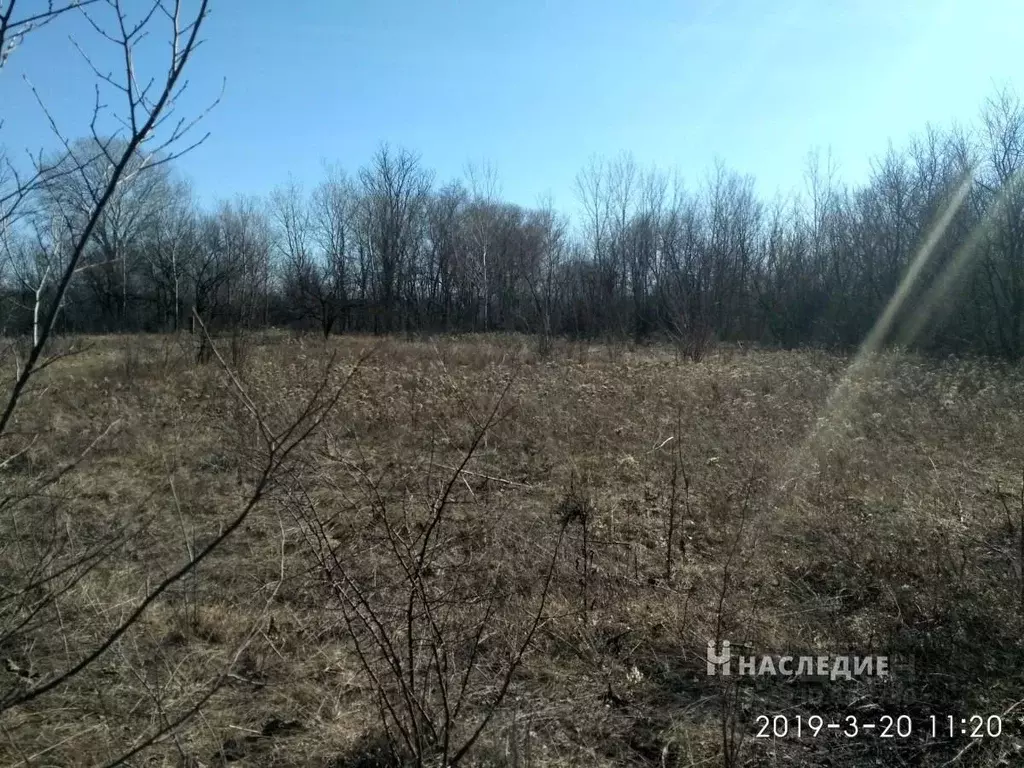 Продажа Участков В Ростовской Области