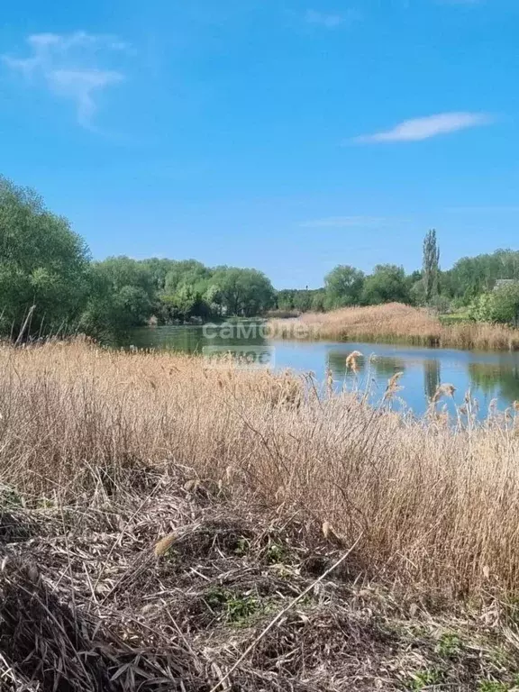 Дом в Воронежская область, с. Каширское ул. 9 Января, 59 (33 м) - Фото 1