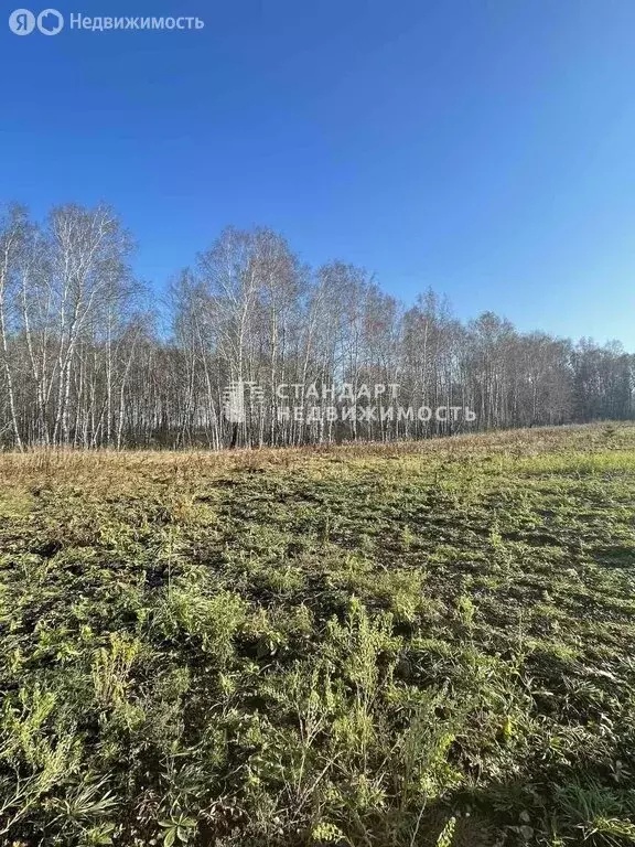 Участок в Тюменский район, деревня Елань, Югорская улица (7.02 м) - Фото 0