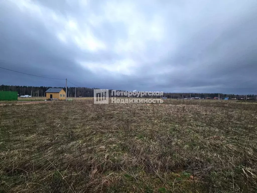 Участок в Ленинградская область, Лужский район, Мшинское с/пос, ... - Фото 1