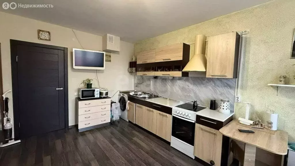 Квартира-студия: Шушары, Старорусский проспект, 13к1 (23.3 м) - Фото 2