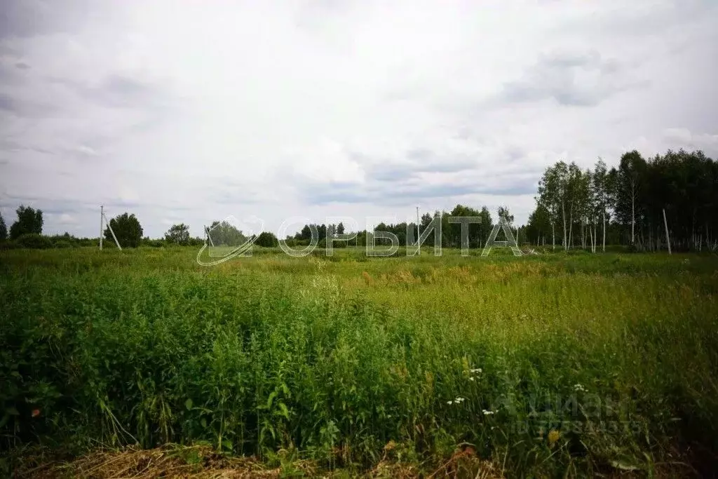 Участок в Тюменская область, Тюменский муниципальный округ, с. ... - Фото 2