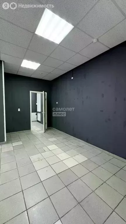 Офис (75.3 м) - Фото 2