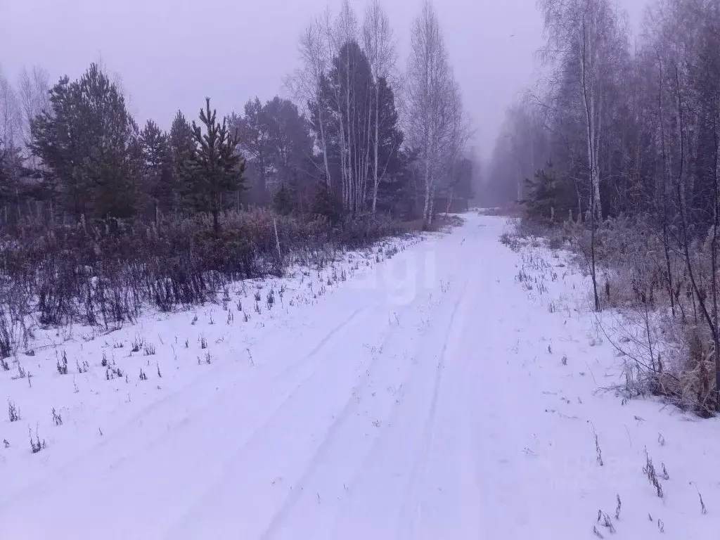 Участок в Тюменская область, Тюменский муниципальный округ, Янтарное ... - Фото 1