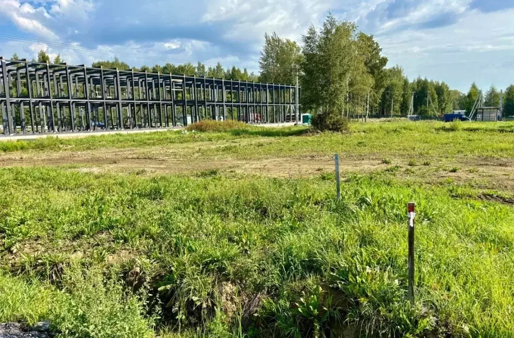 Участок в Ленинградская область, Всеволожский район, Агалатовское ... - Фото 0