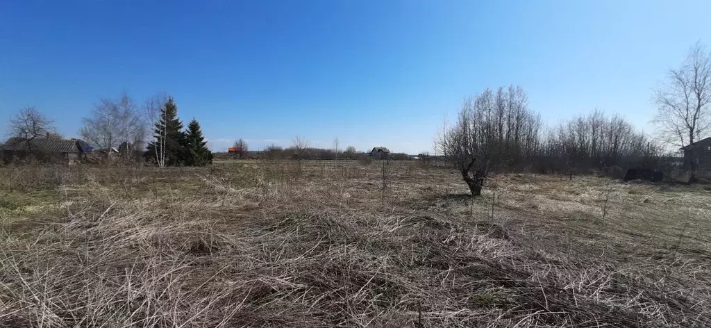 Участок в Новгородская область, Шимское городское поселение, д. Старый ... - Фото 1