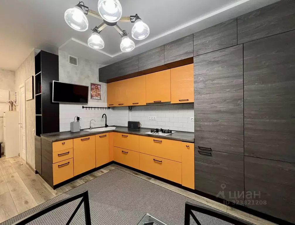 1-к кв. Московская область, Истра муниципальный округ, д. Красный ... - Фото 1