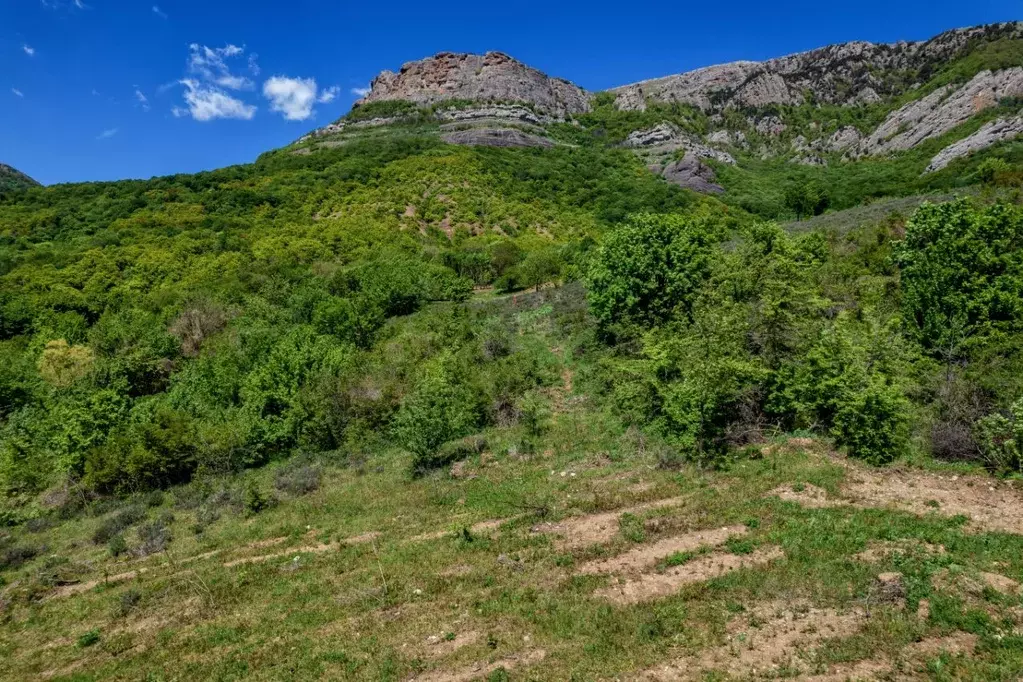 Коттедж в Крым, Алушта муниципальный округ, с. Лучистое  (240 м) - Фото 1