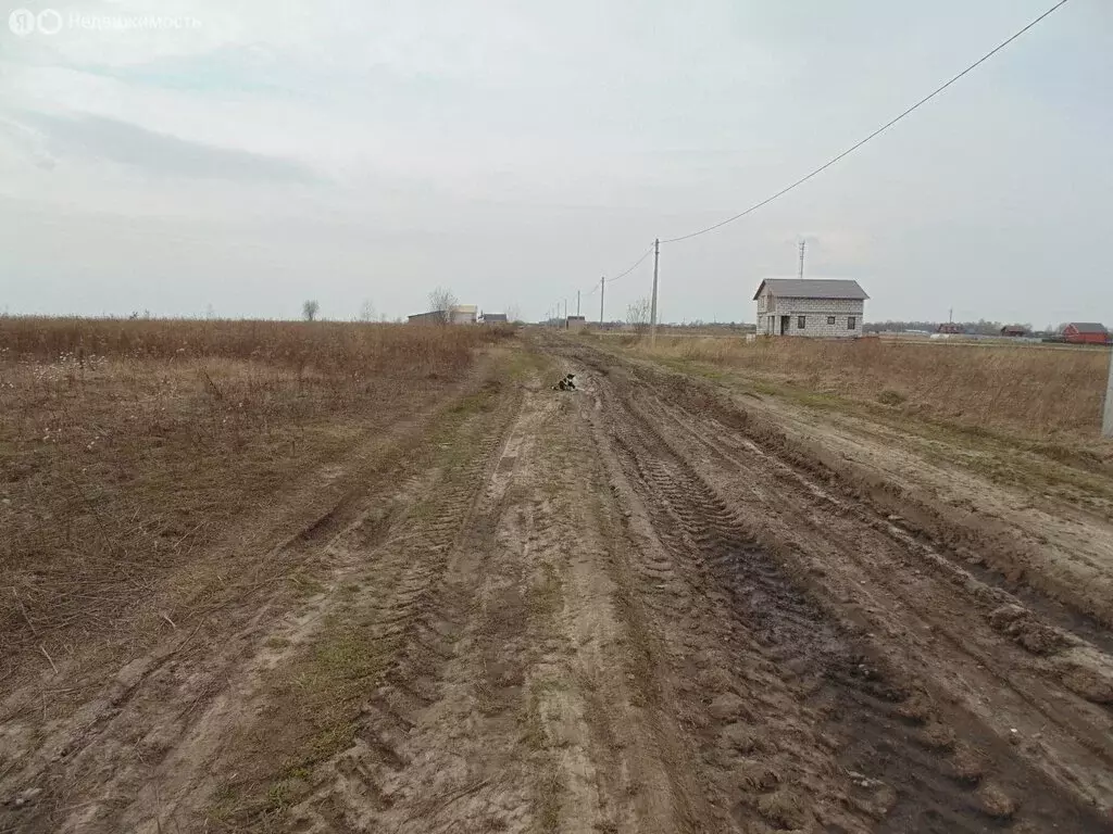 Участок в Рязанская область, Рыбновский муниципальный округ, село ... - Фото 1