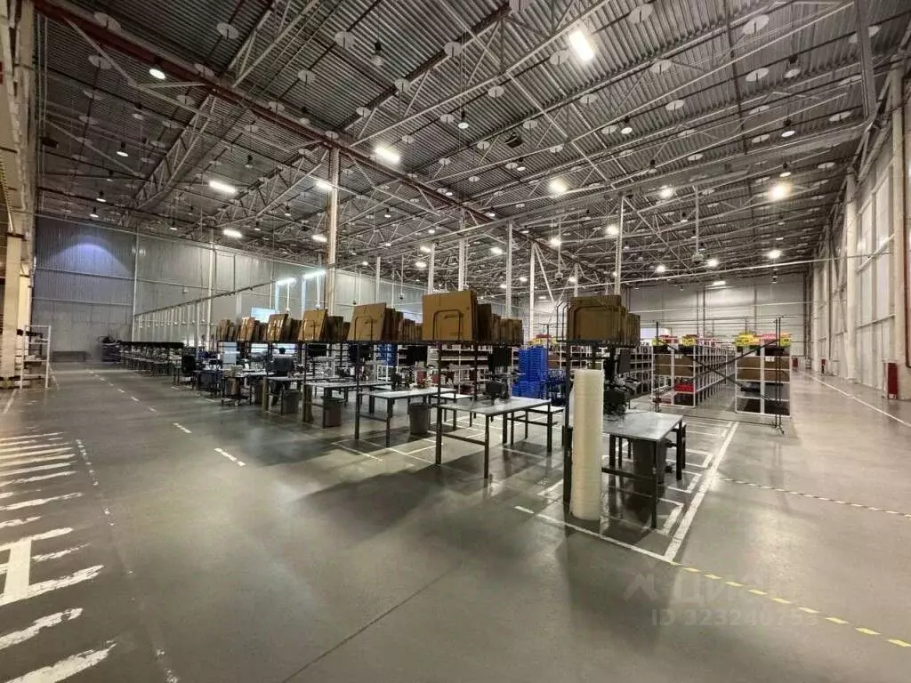 Склад в Новосибирская область, Новосибирский район, с. Толмачево ул. ... - Фото 1