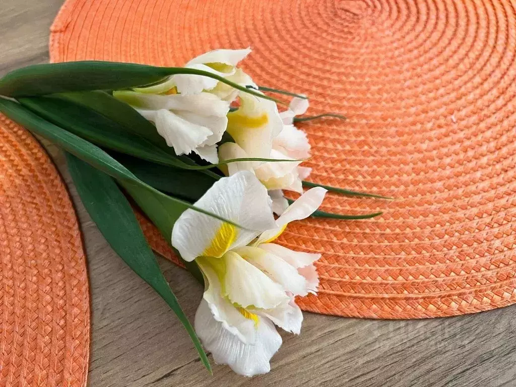 Студия Адыгея, Майкоп ул. К.А. Васильева, 1к2 (20.0 м) - Фото 2