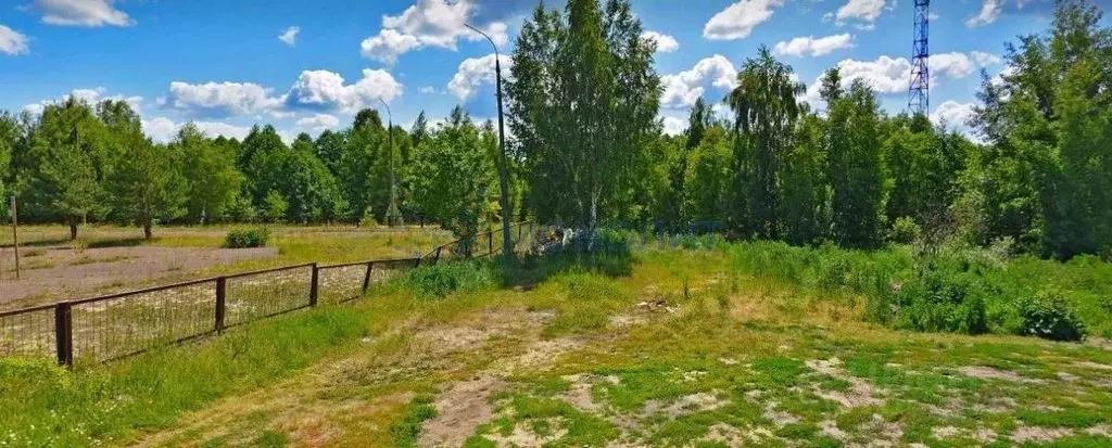 Участок в Нижегородская область, Балахнинский муниципальный округ, ... - Фото 2
