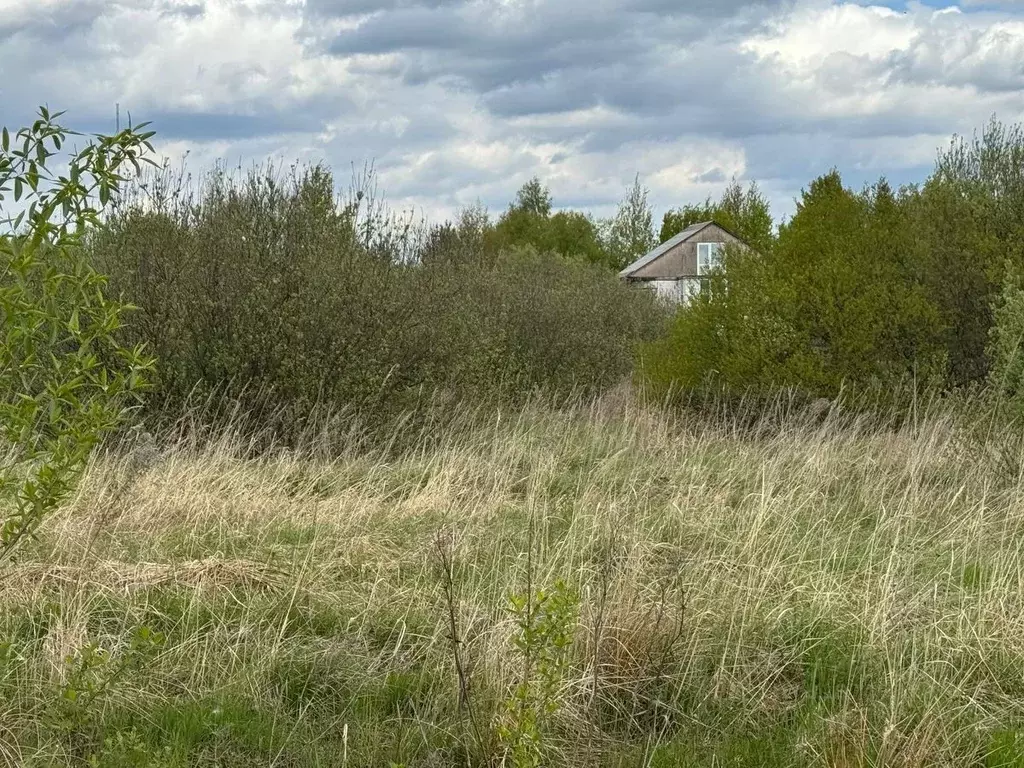 Участок в Московская область, Богородский городской округ, д. Старые ... - Фото 0