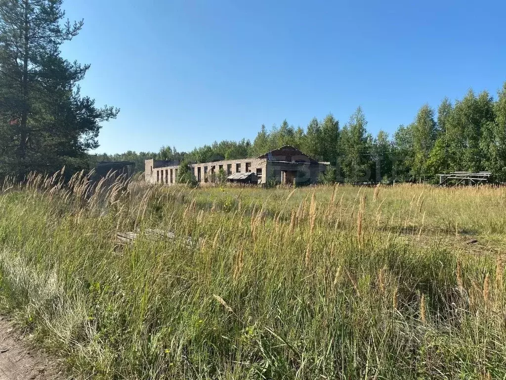 Участок в Новгородская область, Хвойная рп ул. Советская (67.3 сот.) - Фото 0